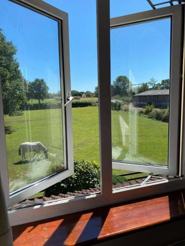 Agroturismo Marsh Farm