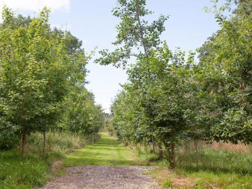 Glamping Pod 1 - Uk32322