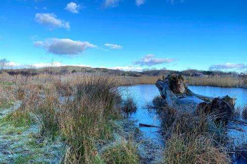 Prachtige Duinvilla's Op Natuurpark