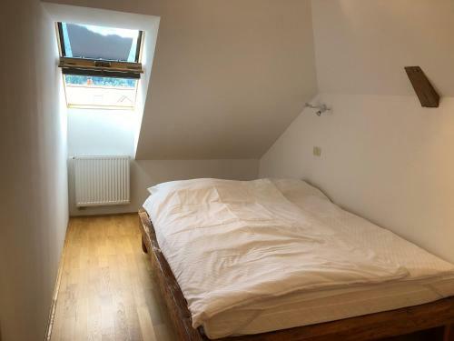 Apartma Linhartov Trg