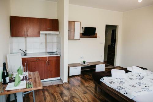Hostal Apartments-rooms Vogrinec