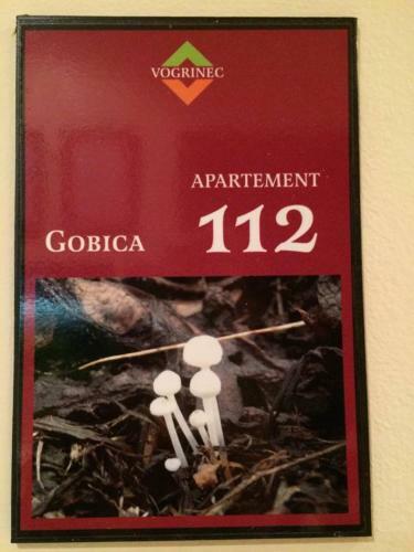 Hostal Apartments-rooms Vogrinec