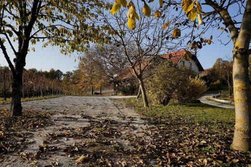 Apartamento Vineyard Cottage Majzelj