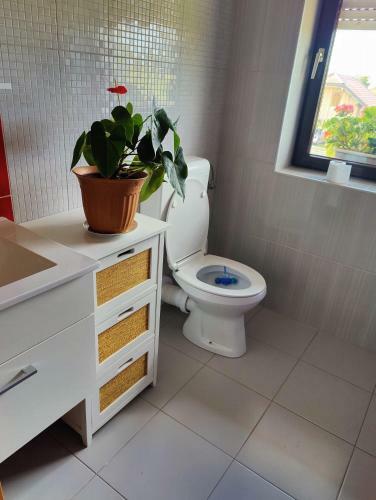 Apartma Ajja