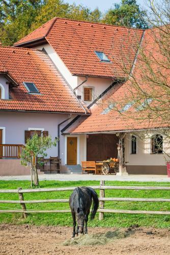Apartment Zynga - Stud Farm