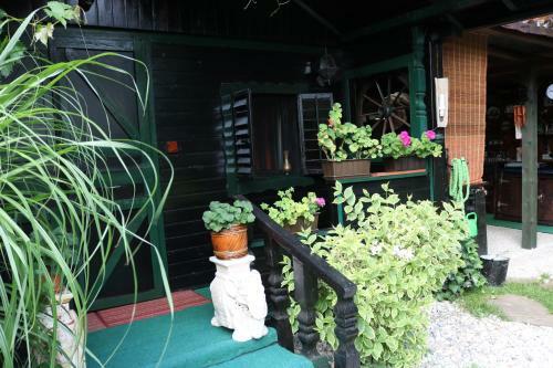 Frenk Cottage 5 Km From The Airport