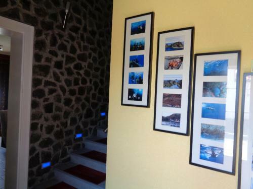 Bed & Breakfast Casa Das Faias