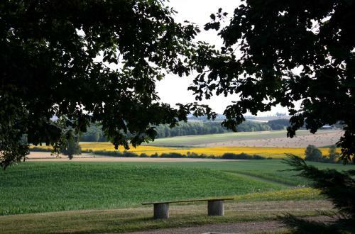Domaine Des Cadets De Gascogne