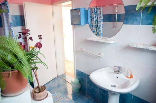 Hostal Guesthouse The Blue House