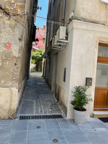 Labi�s Apartments