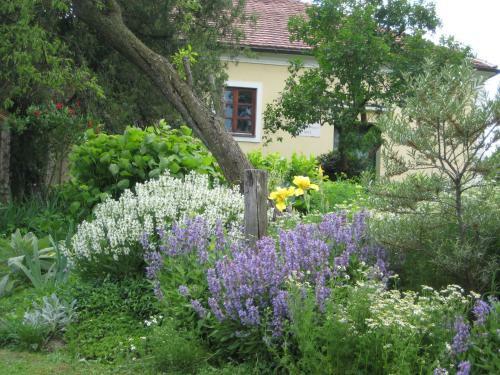 Bed & Breakfast Mala Kmetija