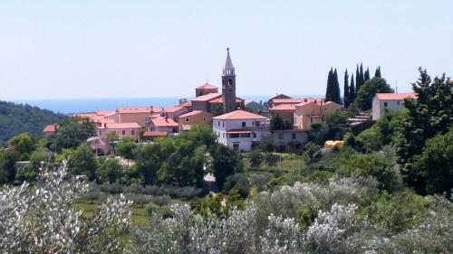 Apartment Istrian View