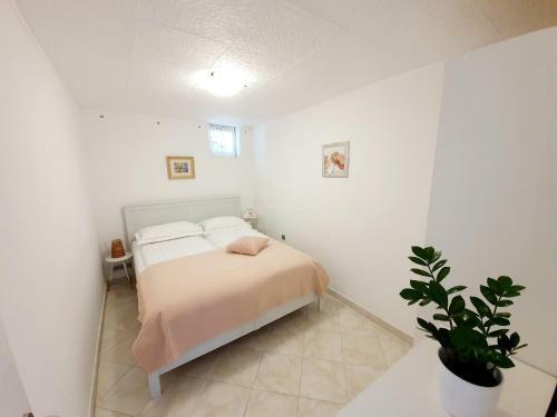 Apartments Villa Bazilika