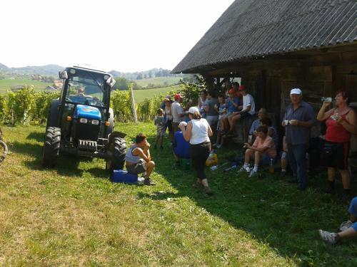 Agroturismo Grobelnik Tourist Farm