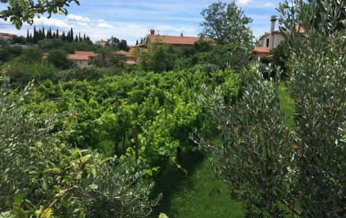 Hostal Traditional Istrian Stone House