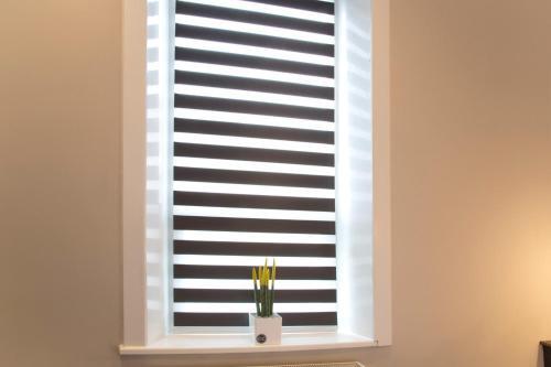 Blackbird Luxury Apartments Room 3