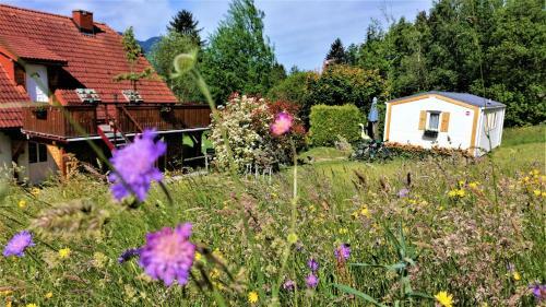 Holiday Home Rozika