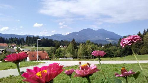Holiday Home Rozika