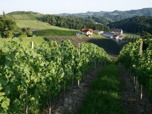 Apartamento Holiday Home Winzerhaus Eva