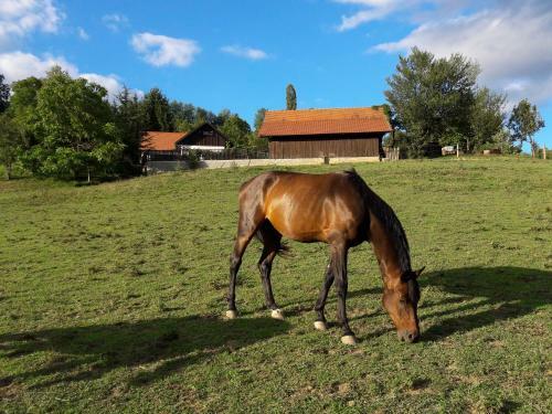 Apartamento Tourist Farm Ran? Velka
