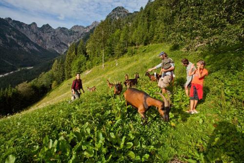 Agroturismo Kmetija Matk