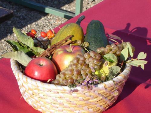 Agroturismo Farm Stay Jarc Vineyard