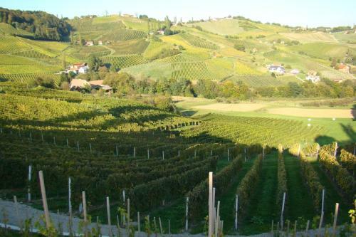 Agroturismo Farm Stay Jarc Vineyard