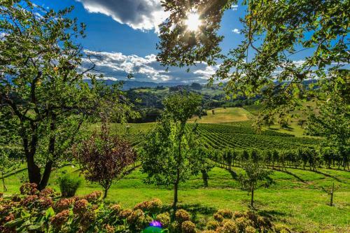 Agroturismo Farm Stay Jarc Vineyard
