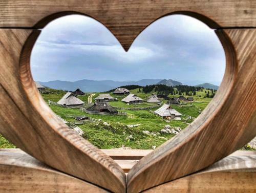 Ko?a Ojstrica - Velika Planina