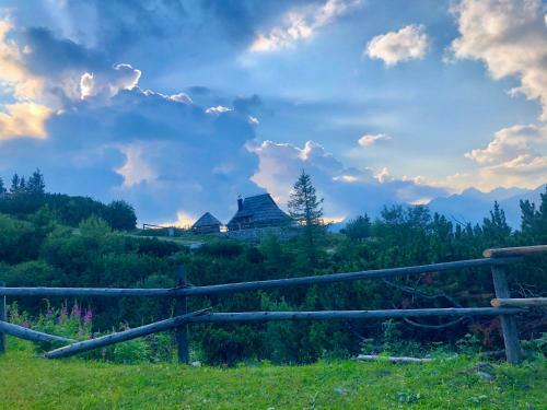 Ko?a Ojstrica - Velika Planina