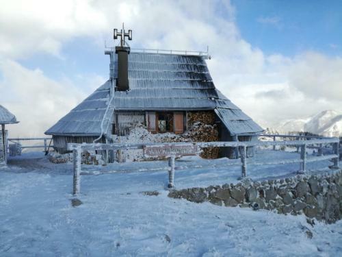 Ko?a Ojstrica - Velika Planina