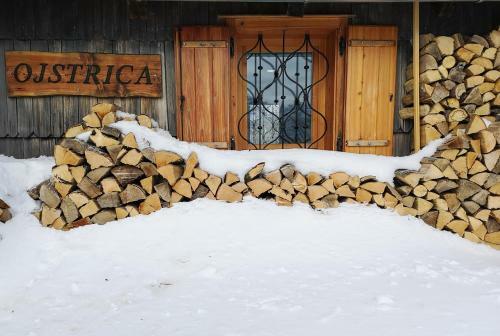Ko?a Ojstrica - Velika Planina