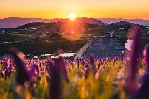 Ko?a Ojstrica - Velika Planina