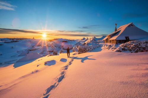 Ko?a Ojstrica - Velika Planina