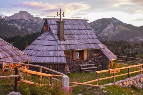 Ko?a Ojstrica - Velika Planina