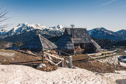 Ko?a Ojstrica - Velika Planina