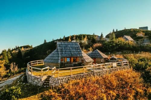 Ko?a Ojstrica - Velika Planina