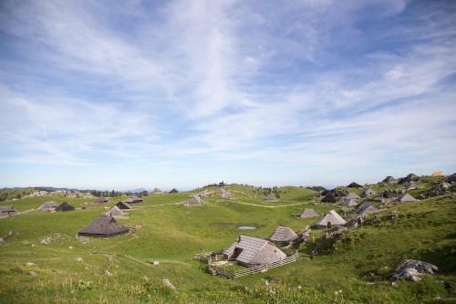 Ko?a Ojstrica - Velika Planina