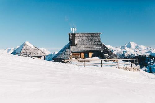 Ko?a Ojstrica - Velika Planina