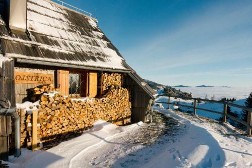 Ko?a Ojstrica - Velika Planina