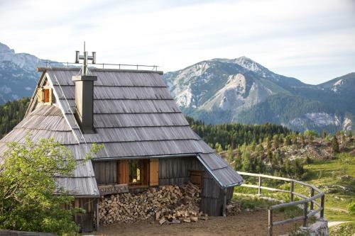 Ko?a Ojstrica - Velika Planina