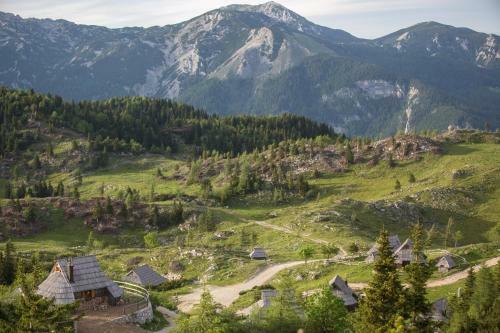 Ko?a Ojstrica - Velika Planina