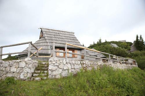 Ko?a Ojstrica - Velika Planina