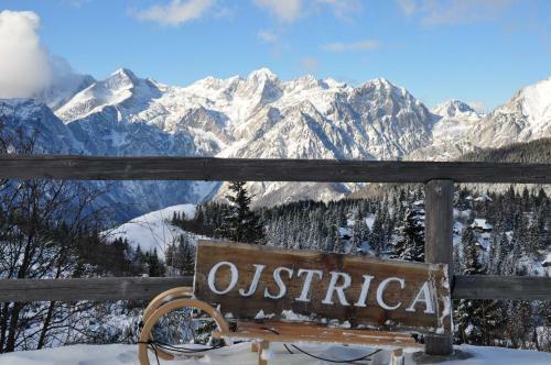 Ko?a Ojstrica - Velika Planina