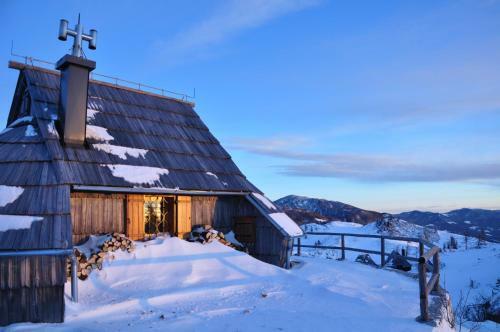 Ko?a Ojstrica - Velika Planina