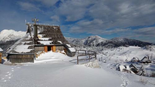 Ko?a Ojstrica - Velika Planina
