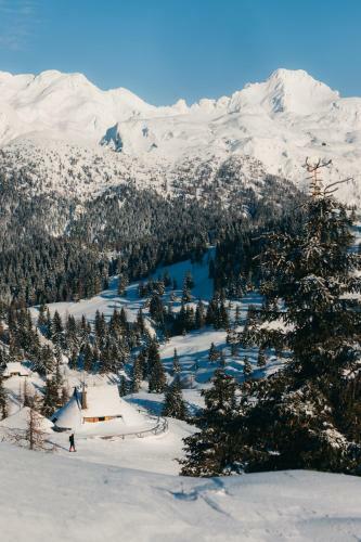 Ko?a Ojstrica - Velika Planina