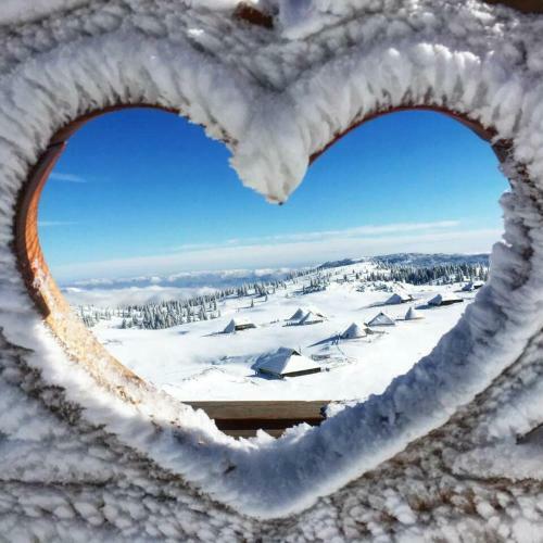 Ko?a Ojstrica - Velika Planina