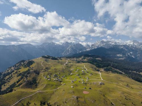 Ko?a Ojstrica - Velika Planina