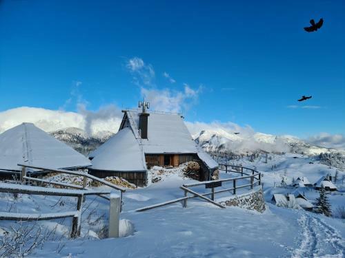 Ko?a Ojstrica - Velika Planina